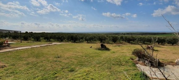 4 bedrooms Villa in Chalkidiki, Greece No. 1445 15