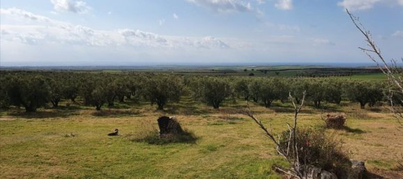 4 bedrooms Villa in Chalkidiki, Greece No. 1445 14