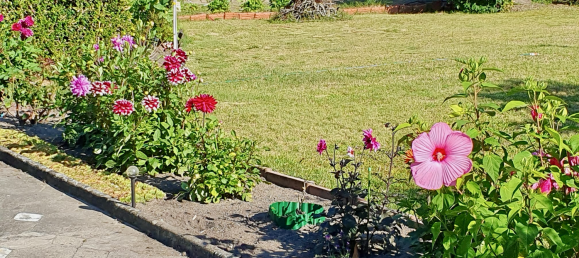 1 غرف نوم بنغالو في Potsdam-Mittelmark, Germany رقم 239154 7