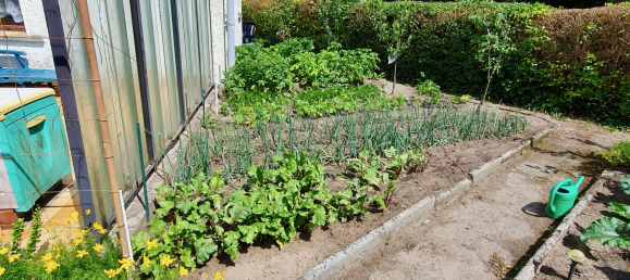 1 غرف نوم بنغالو في Potsdam-Mittelmark, Germany رقم 239154 4