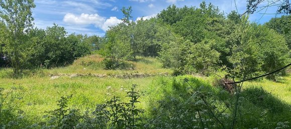 9 bedrooms House in Soalhaes, Portugal No. 13971 14