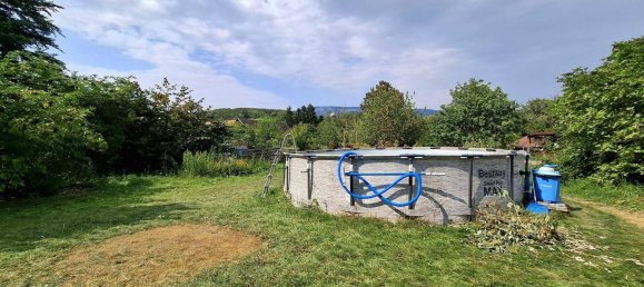 5-Zimmer Haus in Würflach, Austria, Nr. 230866 15