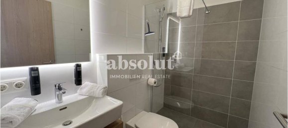 1 bedroom Apartment in Zell am See, Austria No. 106783 13