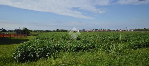 Terrain à San Donà di Piave, Italy 48543m² No. 298833 3