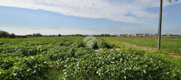 Terrain à San Donà di Piave, Italy 48543m² No. 298833 9