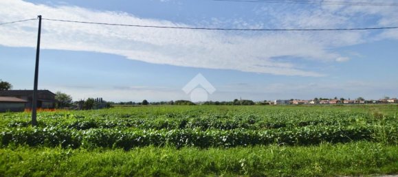Terrain à San Donà di Piave, Italy 48543m² No. 298833 8
