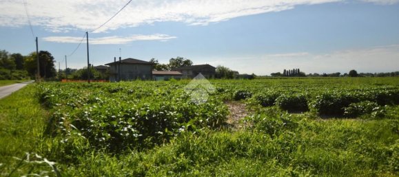 Terrain à San Donà di Piave, Italy 48543m² No. 298833 10