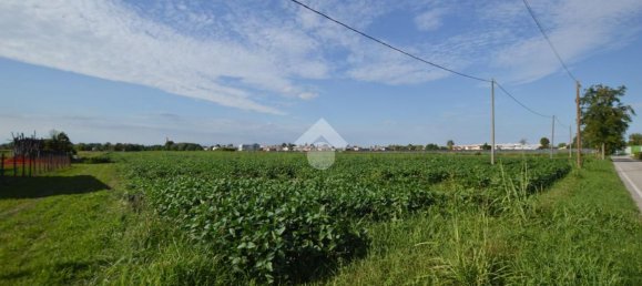Terrain à San Donà di Piave, Italy 48543m² No. 298833 2