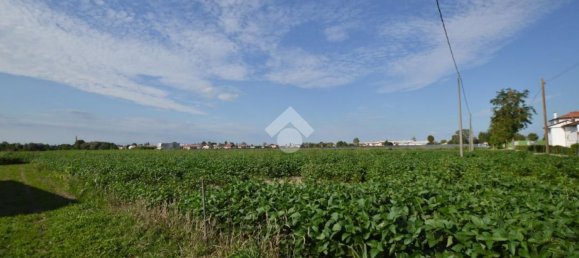 Terrain à San Donà di Piave, Italy 48543m² No. 298833 4