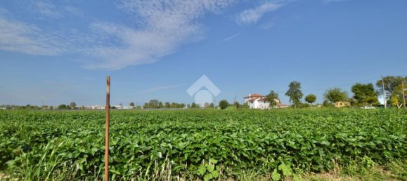 Terrain à San Donà di Piave, Italy 48543m² No. 298833 6