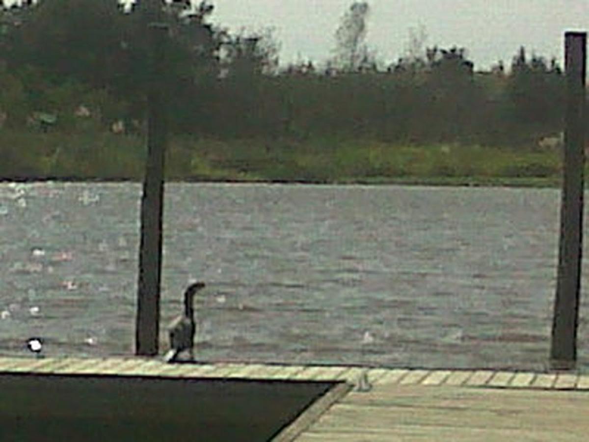 Grundstück in Escobar, Argentina, Nr. 113437