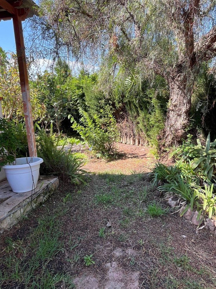 4 bedrooms House in San Antonio de Benageber, Spain No. 156427