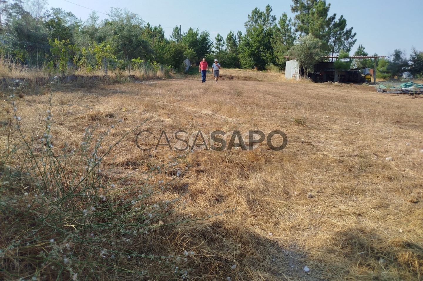  Land in Mangualde, Portugal No. 295496