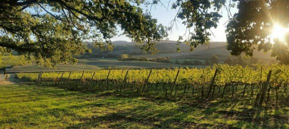 13 bedrooms House in Castellina in Chianti, Italy No. 3014 12