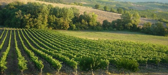 13 bedrooms House in Castellina in Chianti, Italy No. 3014 13