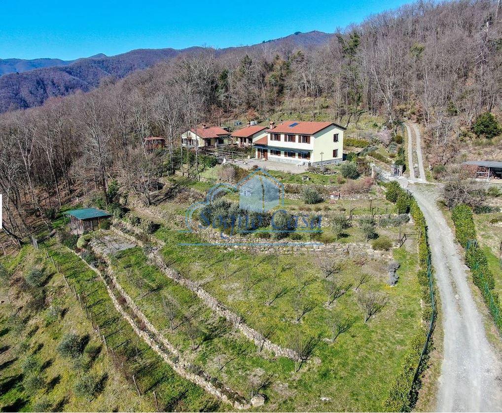4 bedrooms Villa in Tresana, Italy No. 156694