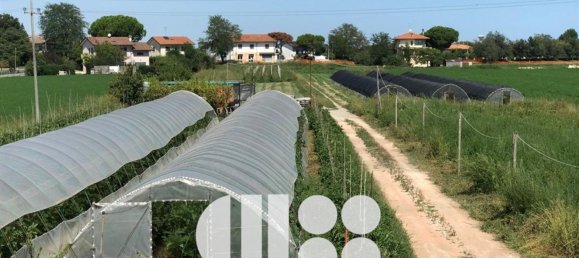  قطعة أرض في Cesenatico, Italy رقم 342962 7