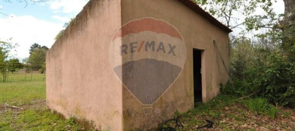 20 bedrooms House in Tramagal, Portugal No. 29948 9