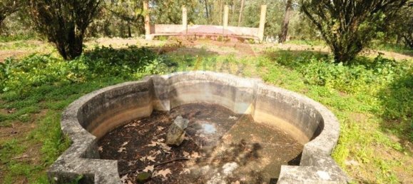 20 bedrooms House in Tramagal, Portugal No. 29948 15