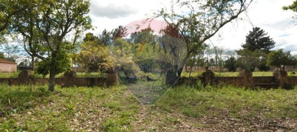 20 bedrooms House in Tramagal, Portugal No. 29948 7