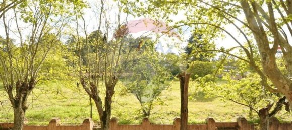 20 bedrooms House in Tramagal, Portugal No. 29948 50