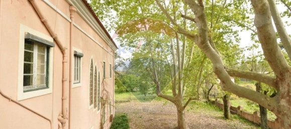 20 bedrooms House in Tramagal, Portugal No. 29948 49