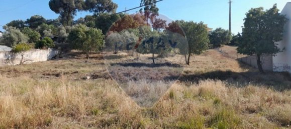 3 Schlafzimmer Haus in Ulme, Portugal, Nr. 179637 2