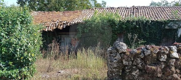 Casa de 2 dormitorios en Ansiao, Portugal No. 27631 13