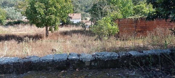Casa de 2 dormitorios en Ansiao, Portugal No. 27631 9