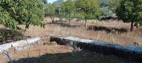 Casa de 2 dormitorios en Ansiao, Portugal No. 27631 14