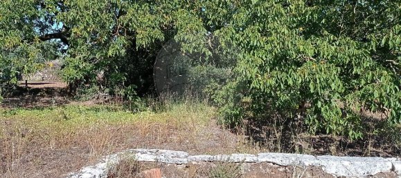 Casa de 2 dormitorios en Ansiao, Portugal No. 27631 12