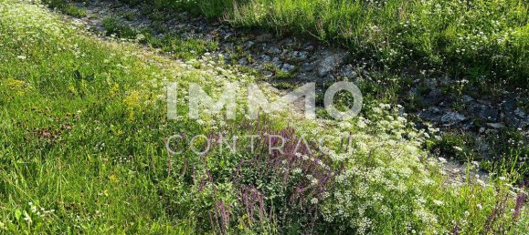 Terreno en Langenlois, Austria 1642 m² No. 64607 18