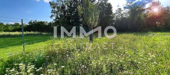 Terreno en Langenlois, Austria 1642 m² No. 64607 11