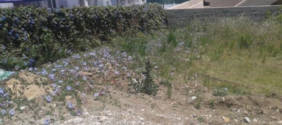 Grundstück in Marbella, Spain, Nr. 119616 4