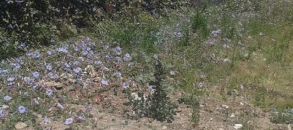 Grundstück in Marbella, Spain, Nr. 119616 16