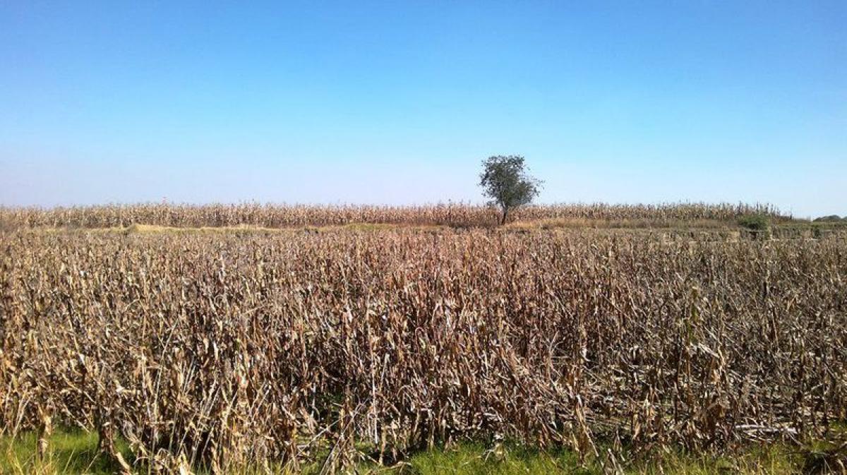 Grundstück in Xonacatlan, Mexico, Nr. 203392