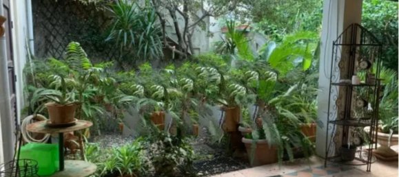 Studio in Sardinia, Italy No. 245970 18