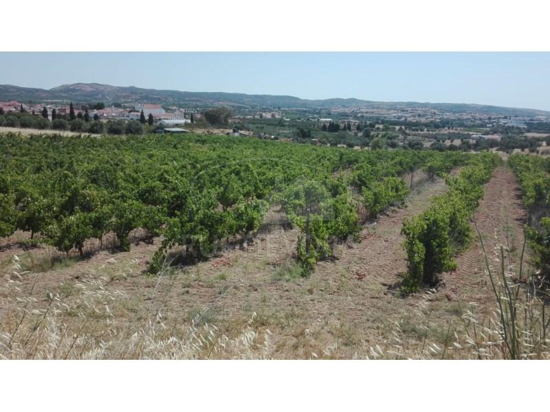 15800m² Land in Vila de Frades, Portugal No. 334390