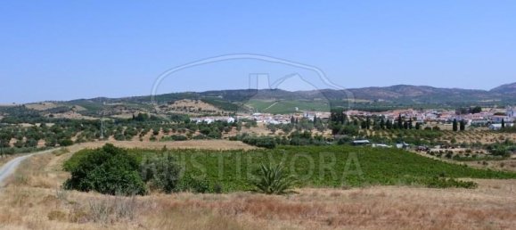 15800m² Land in Vila de Frades, Portugal No. 334390 2