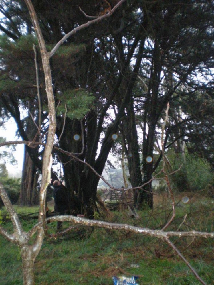 Terreno en Mar del Plata, Argentina No. 117601