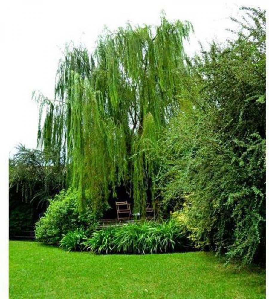  قطعة أرض في Quilmes, Argentina رقم 50558