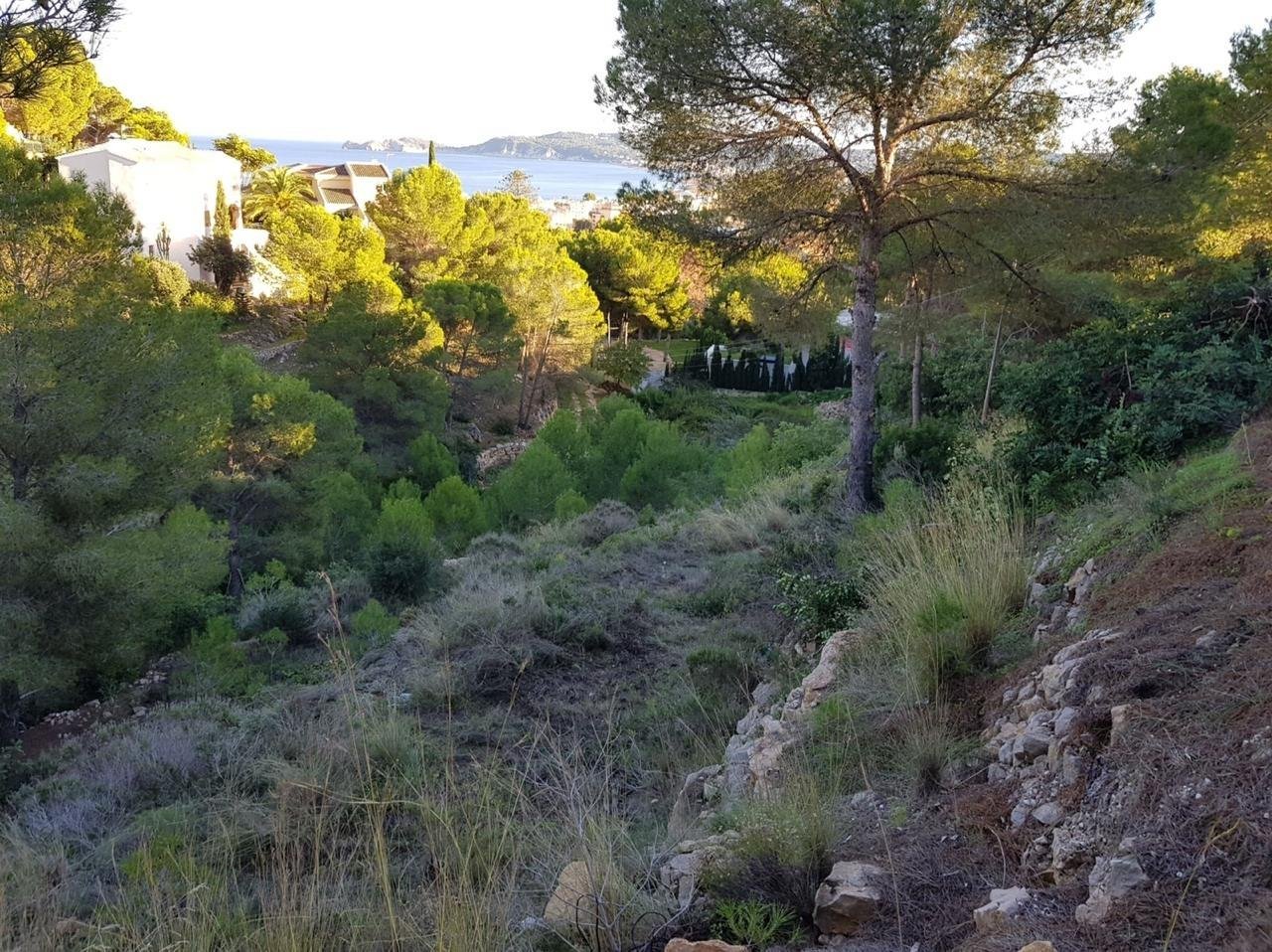 Дом в Хавеа, Испания № 284073