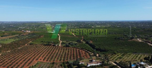 5 bedrooms House in Silves, Portugal No. 62390 16