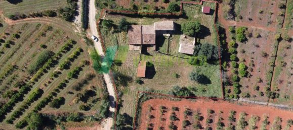 5 bedrooms House in Silves, Portugal No. 62390 13