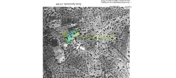 5 bedrooms House in Silves, Portugal No. 62390 37