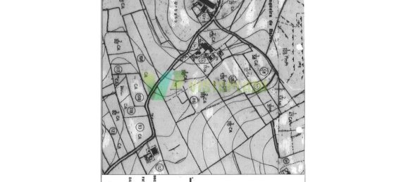 5 bedrooms House in Silves, Portugal No. 62390 6