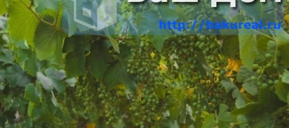 House in Khazar, Azerbaijan No. 211 8