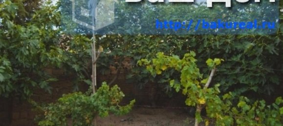 House in Khazar, Azerbaijan No. 211 10