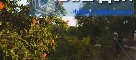 House in Khazar, Azerbaijan No. 211 12