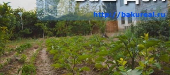 House in Khazar, Azerbaijan No. 211 9